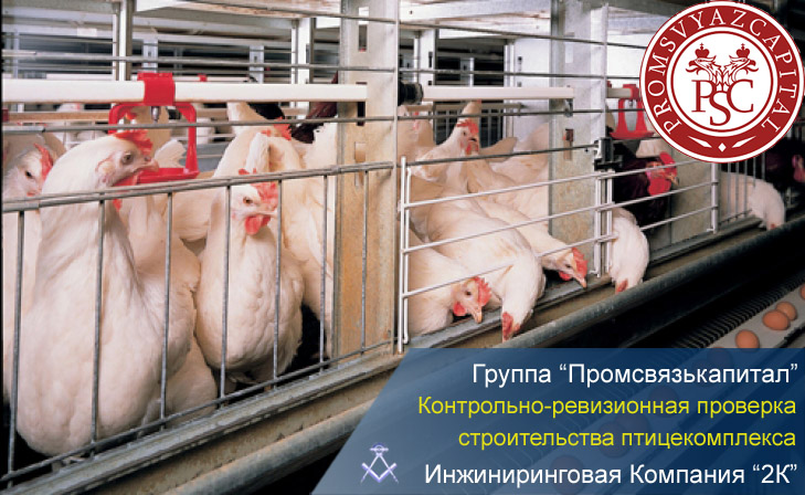 контрольно-ревизионная проверка для птицекомплекса в Курской области 