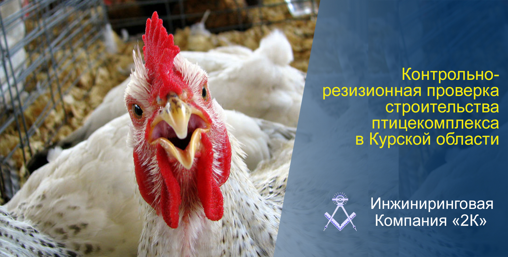 Контрольно-ревизионную проверку в рамках строительства птицекомплекса в Курской области